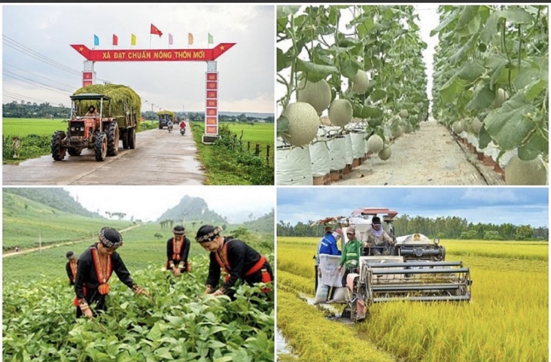 10 tỉnh chậm giải ngân vốn đầu tư công, 12 tỉnh chưa giải ngân vốn sự nghiệp của Chương trình mục tiêu quốc gia 