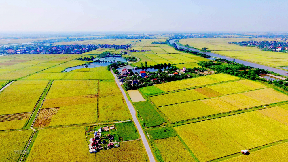 Tiếp tục đề xuất miễn thuế sử dụng đất nông nghiệp để phát triển sản xuất